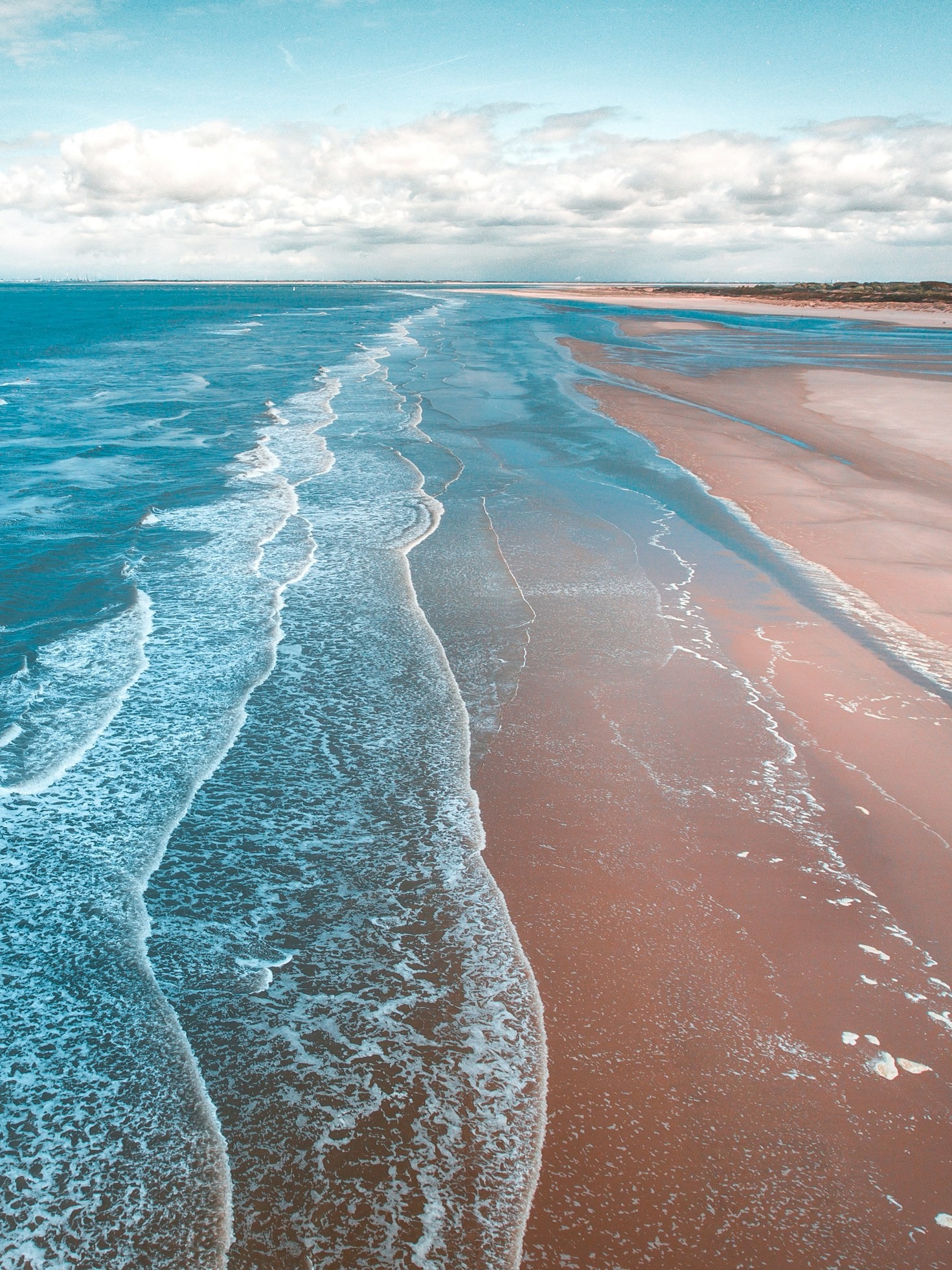 The Interconnection Between Sea Turtles and Ocean Health